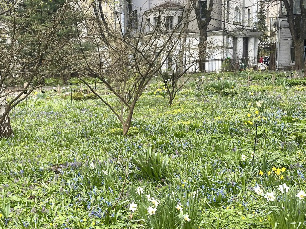 6de8ca77-8c34-42b5-9dc2-5b960d4de3b7 (1).jpeg