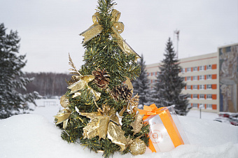 Уральские врачи предлагают родителям провести ревизию детских новогодних подарков