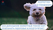 Как домашние питомцы помогают сохранить здоровье?