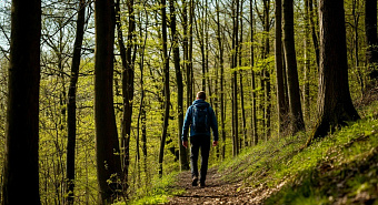 Житель Свердловской области обратился за помощью к дерматологам, приняв пятна на коже при Лайм-боррелиозе за аллергию 