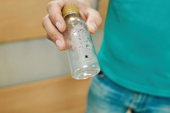 Главный эпидемиолог Минздрава Свердловской области напомнил, как действовать, если вы обнаружили клеща