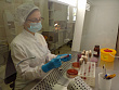 Бактериологическая лаборатория ЦГБ №7 Екатеринбурга пополнилась новым оборудованием