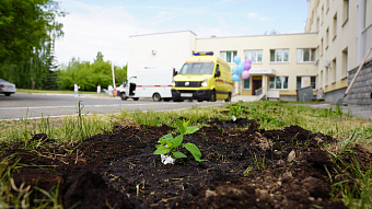 В ЕКПЦ медики украсили цветами «Дорогу к счастью»